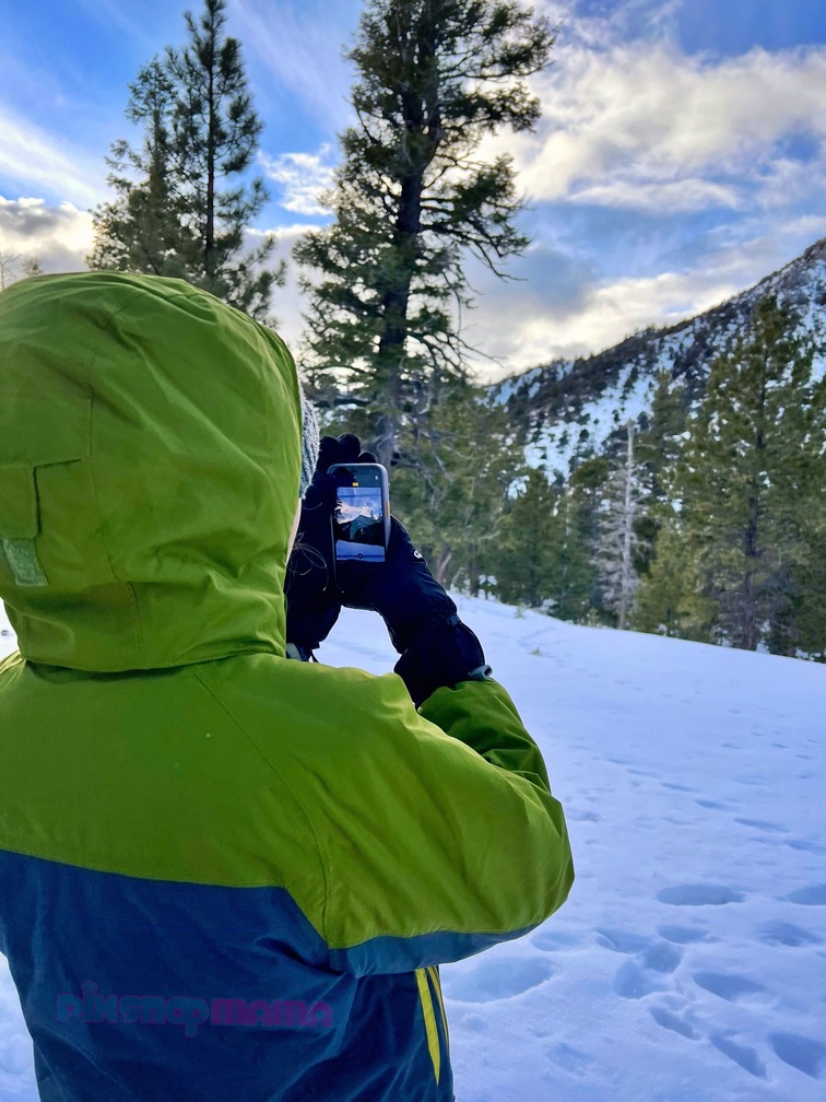 Person in green and gray jacket using iphone to take family snow pictures in the mountains